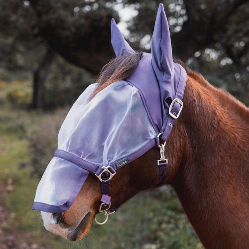 Halter With Fly Mask HORZE Paso Fino, Black Plum / 22329