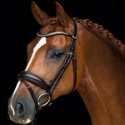 Ogłowie anatomiczne SCHOCKEMÖHLE Concord, z nachrapnikiem szwedzkim / 1101-00043