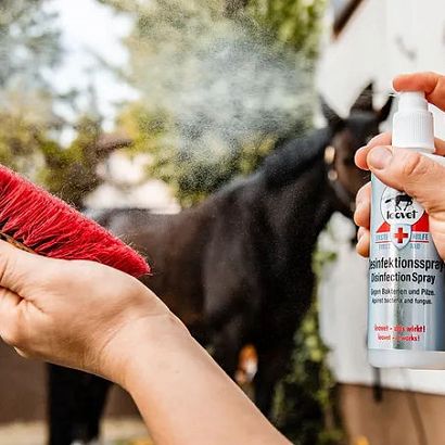 Płyn do dezynfekcji  LEOVET Desinfection Spray 200ml