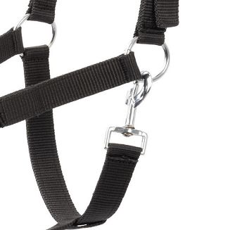 Halter set PEGASUS  Caviar Black - 6