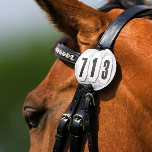 Numerek startowy EQUI-THEME okrągły / 904163