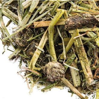 Idealna dla koni wszystkich ras i dyscyplin, wykorzystywanych zarówno w sportach profesjonalnych jak i do rekreacji.
