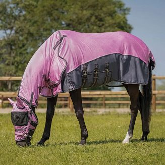 Idealna na pastwisko i do codziennego użytkowania w sezonie letnim.