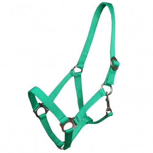 Tape halter simple MUSTANG - 31 light green /0001