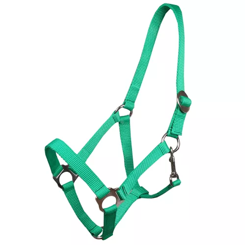 Tape halter simple MUSTANG - 31 light green /0001