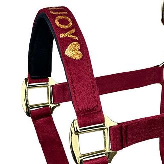 Halter HOREENJOY Velvet Burgundy / 1904 - 2