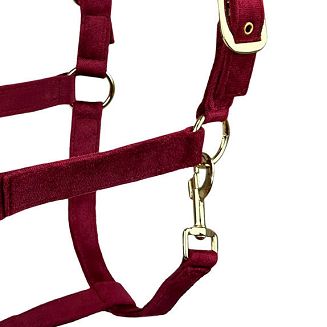 Halter HOREENJOY Velvet Burgundy / 1904 - 5