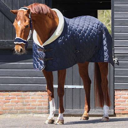 Stable rug QHP Classy / 6294