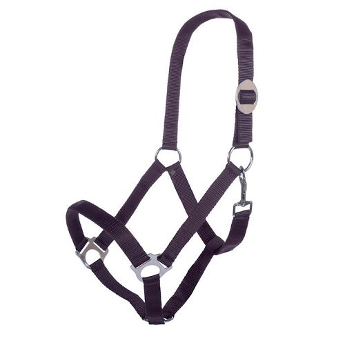 Halter HKM Stars Economy  Darl Lila / 66143