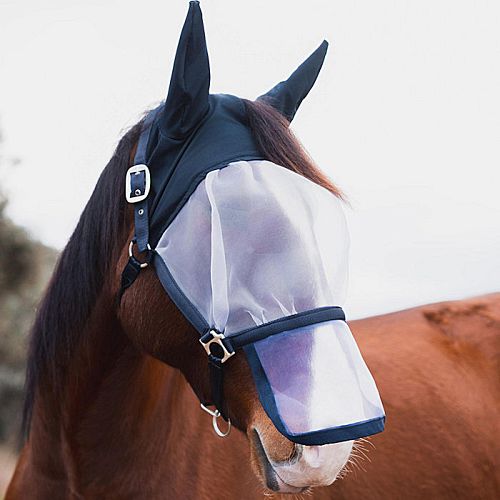 Halter With Fly  HORZE Paso Fino  Overture / 22329