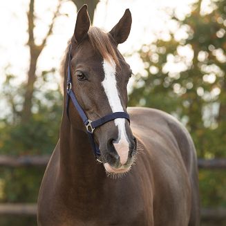 Kantar taśmowy QHP Slide, Navy Blue / 1040 - 2