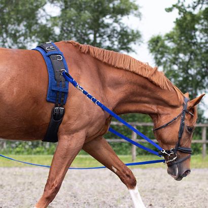 Side rein QHP Color  (pair) / 2168