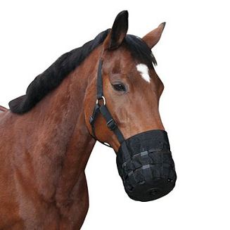 KERBL Muzzle with Head-collar - 2