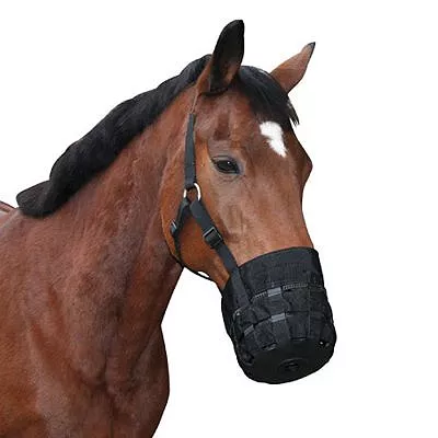 KERBL Muzzle with Head-collar