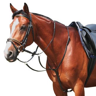 Leather running martingale DAW-MAG / 12000 - 2