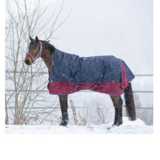 Derka padokowa przeciwdeszczowa EQUI-THEME TYREX 1200D z kołnierzem / 400931 - navy / burgund