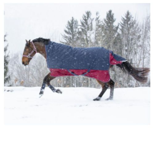 Derka padokowa przeciwdeszczowa EQUI-THEME TYREX 1200D z kołnierzem / 400931 - navy / burgund