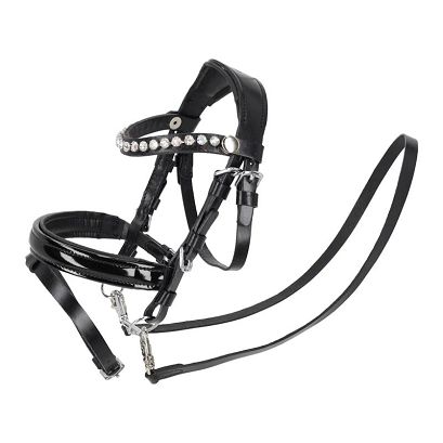 Hobby Horse Bridle QHP Sunset  – Black / 5615