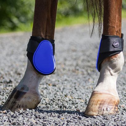 Fetlock boots QHP  / 4034