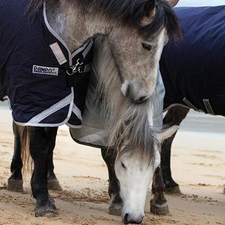 HORSEWARE Derka padokowa przeciwdeszczowa RAMBO ORGINAL z ociepleniem 100g / AAAA96