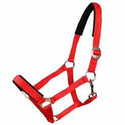 Padded tape halter MUSTANG 40 red / 0002