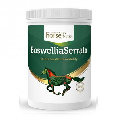 HorseLinePRO BoswelliaSeratta MSM + Witaminy C, profilaktyka aparatu ruchu, sztywność stawów i mięśni 900g