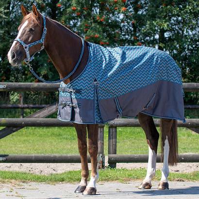 Turnout rug QHP no fill Summer 2021 / 6282