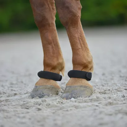 WALDHAUSEN Fetlock Rings