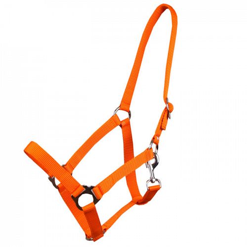 Tape halter simple MUSTANG 24-orange /0001