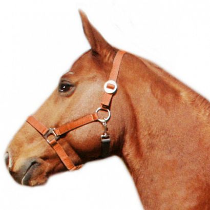 Tape halter simple MUSTANG 24-orange /0001