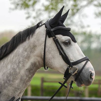 Anatomical Leather Bridle QHP Salerno Black/ 9106