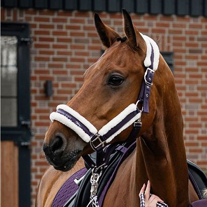 Headcollar SCHOCKEMÖHLE Melbourne Style Deep Mauve / 1311-00032