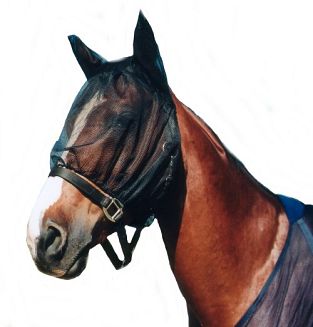 AMIGO Siatka na głowę przeciw muchom/owadom / 2021  granatowa