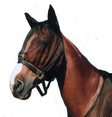 Anti-fly mask AMIGO  / 2021 