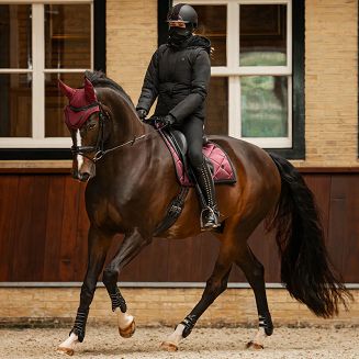 QHP Rayah to sportowa kurtka zimowa dla osób, które lubią praktyczne rozwiązania i swobodę dopasowania odzieży do pogody.