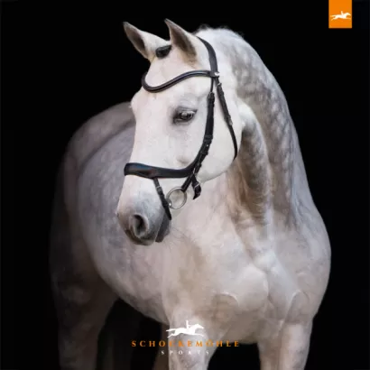 SCHOCKEMÖHLE Anatomic bridle EQUITUS ALPHA