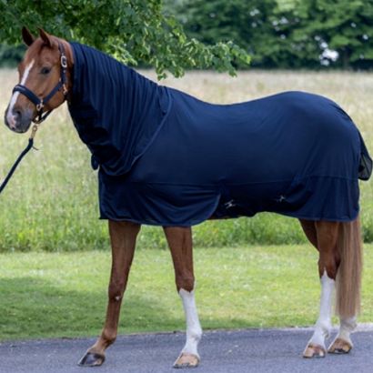 Fly blanket COVALLIERO / 322602