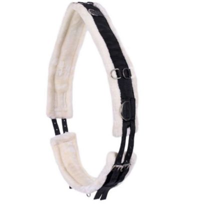 QHP Lunging girth Ontario / 3132