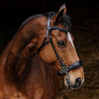 Ogłowie skórzane NORTON PRO do hackamore, Czarne - 2
