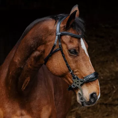 Hackamore - Bridle  NORTON PRO Leather, Black