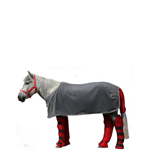 Transport Boots    AMIGO (set 4 szt.) shetland, red / 2156