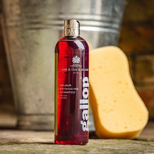 Gallop Color Bay Shampoo CARR & DAY & MARTIN  500ml / CC019