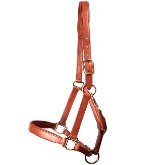 Kantar został wykonany z wysokogatunkowej skóry bydlęcej.