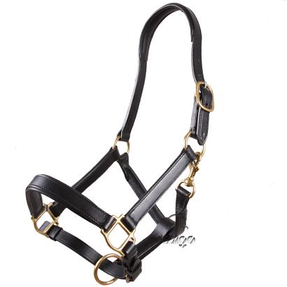 15 DAW-MAG  padded leather halter - black