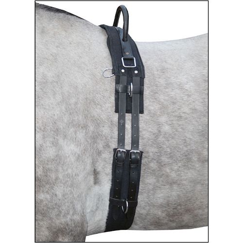 Lunging belt HKM with a handle Black / 1795