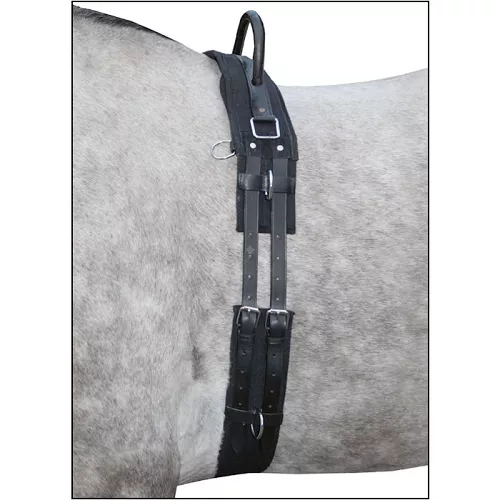 Lunging belt HKM with a handle Black / 1795