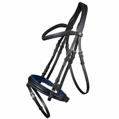 0 Ogłowie skórzane WALDHAUSEN  Crystalblue  z nachrapnikiem kombinowanym X-line / 95771