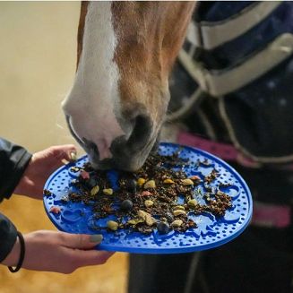 Smakowita pasta dla koni do lizania LIKIT Graze Paste 1,2 kg / 380082 - 2
