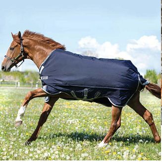 HORSEWARE Derka padokowa przeciwdeszczowa RAMBO ORGINAL z ociepleniem 200g / AAAA97