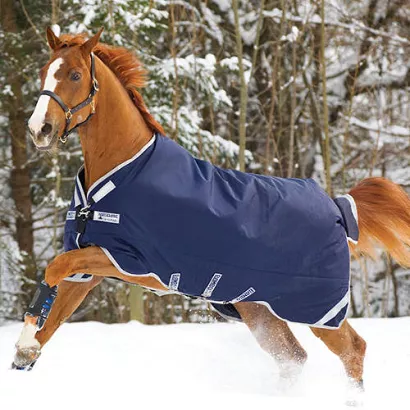 HORSEWARE Horses Rugs Rambo® Original 200g / AAAA97